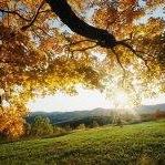 Debra Strader Photo 8