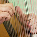 Robin Harp Photo 11