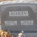 Ashley Janes Photo 11
