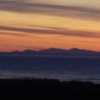 Diane Larkin Photo 8