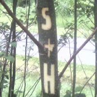 Heidi Sawyer Photo 18
