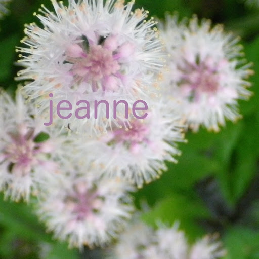 Jeanne Jeanne Photo 15